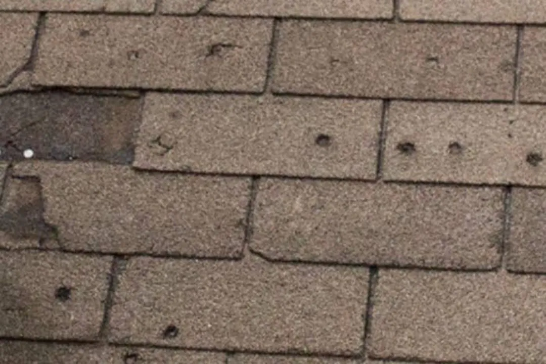 Storm-damaged asphalt shingles with visible impact and tearing