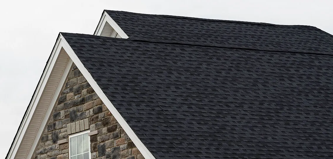 Professional Asphalt Shingle Roof