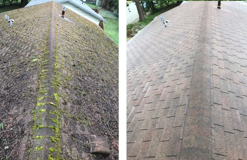 Asphalt shingle roof - Before: Heavy moss growth. After: Clean and restored shingles