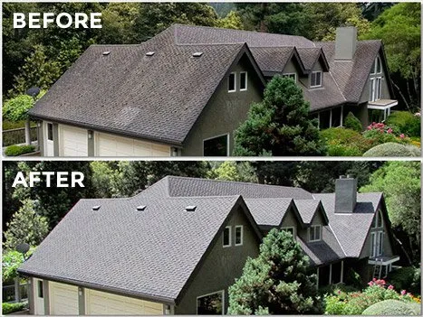 Residential home - Before: Black streaks and dirt buildup. After: Pristine condition